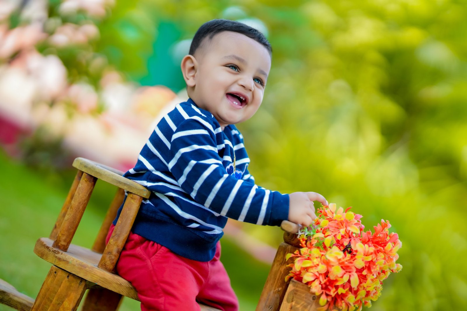 Baby Shoots